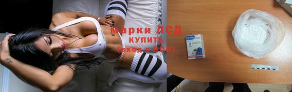 apvp Аркадак