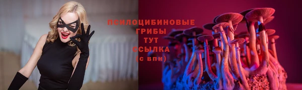 jwh Арсеньев