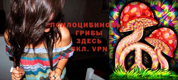 стаф Армянск
