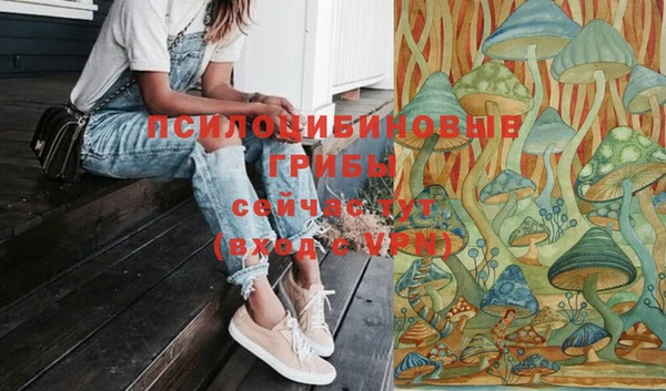 стаф Армянск