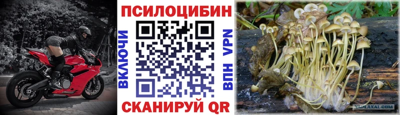 Купить где  Порхов  Галлюциногенные грибы ЛСД 